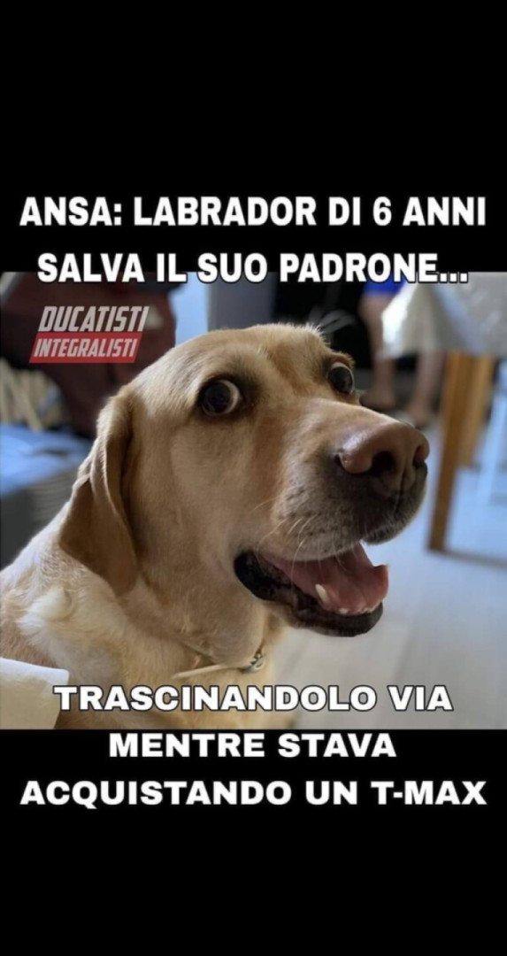 ... Bravo cagnolone !!! ???