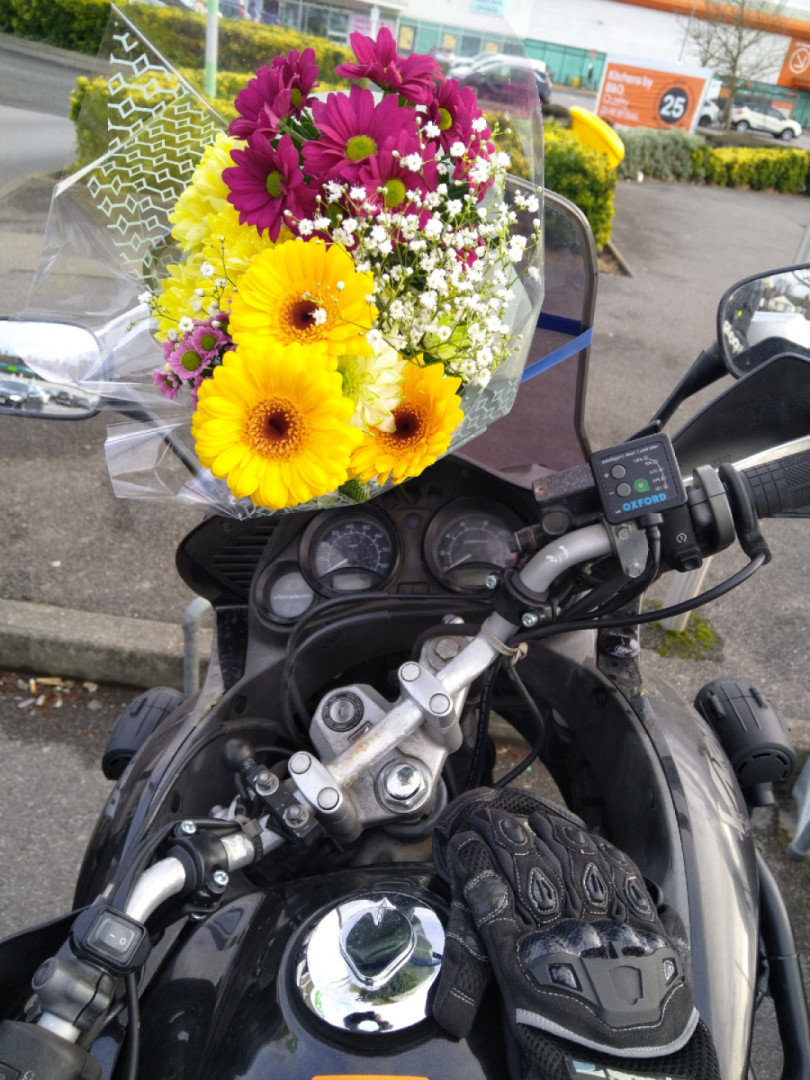 Flowers for my bike ?