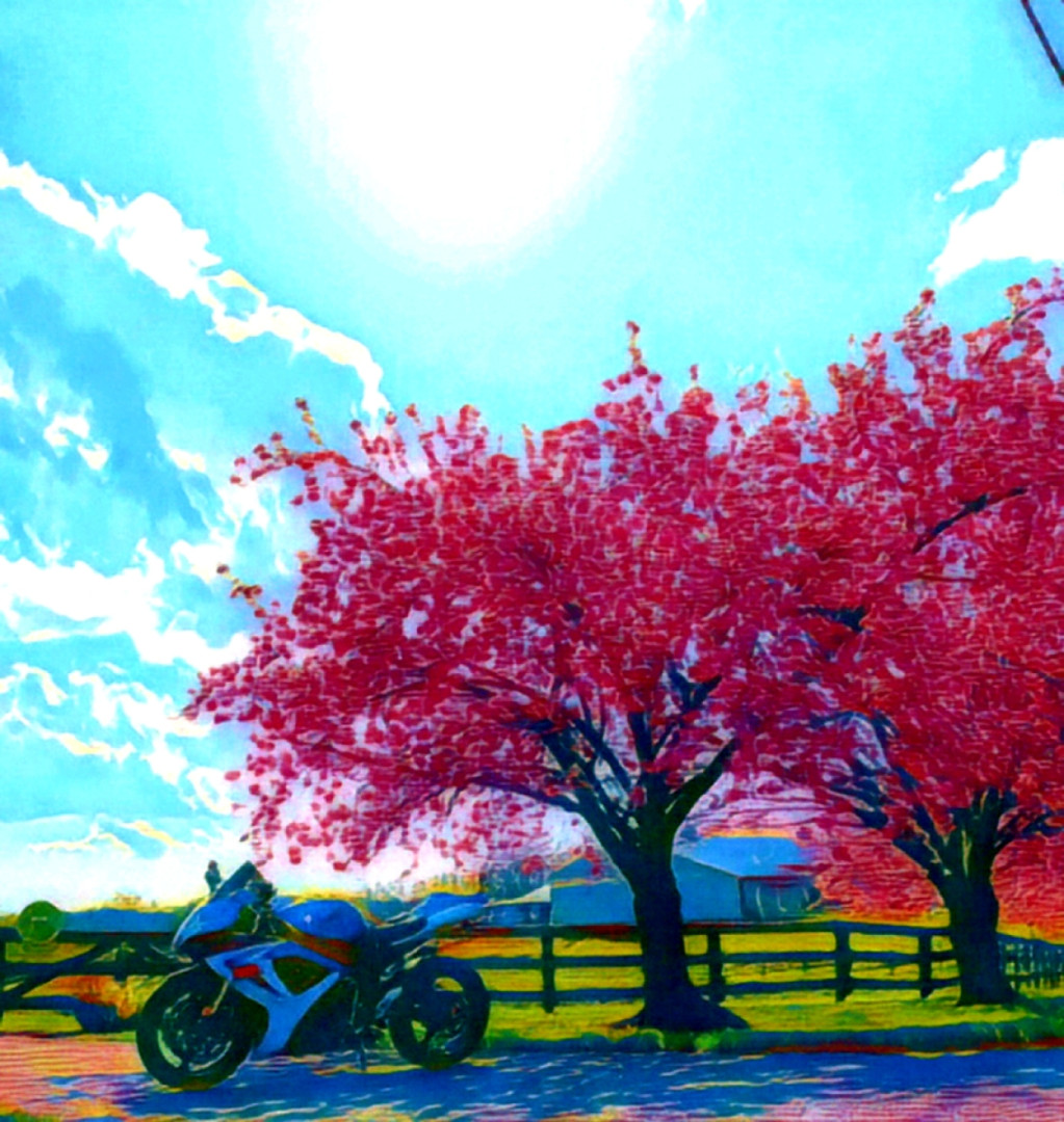 A random act of Colors .... !