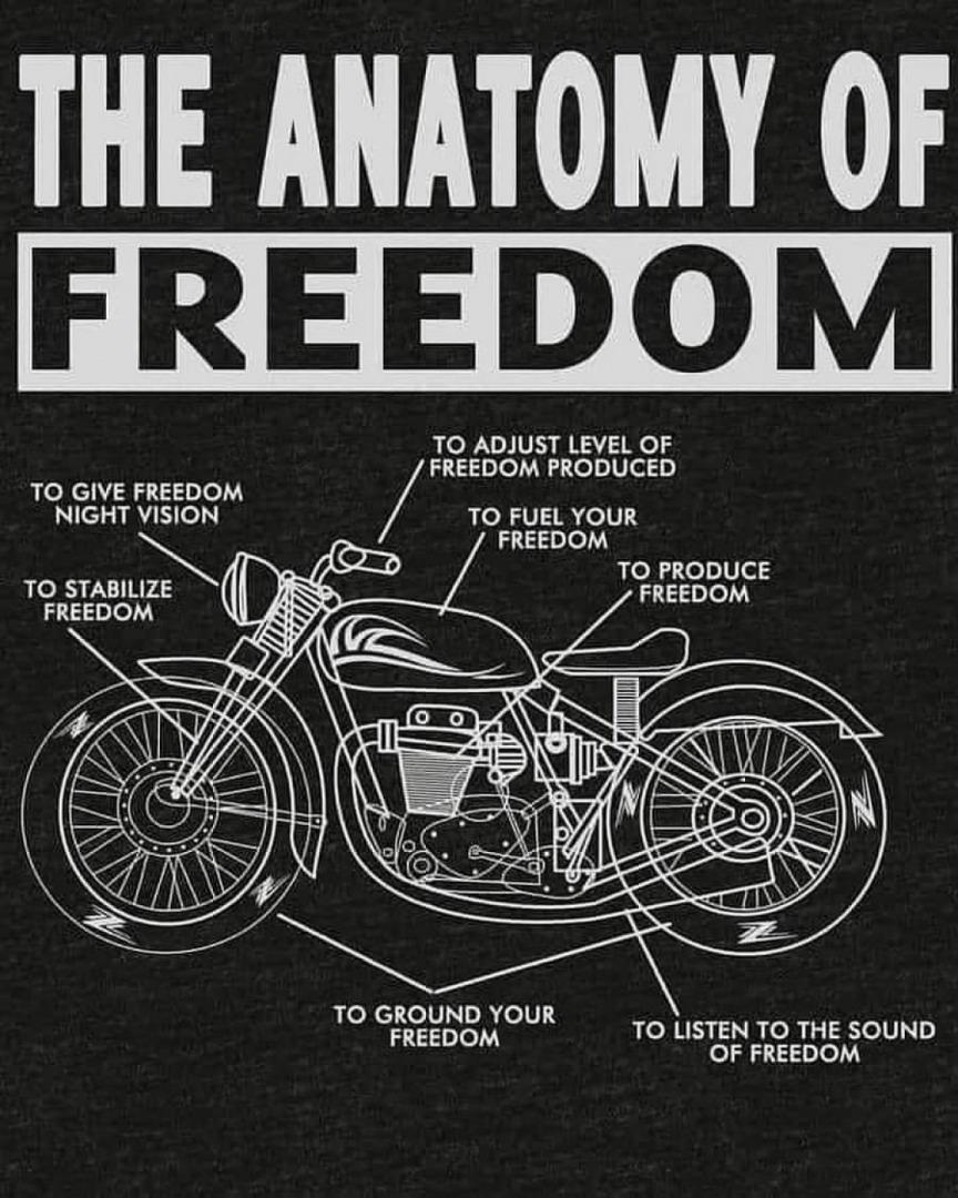 Freedom