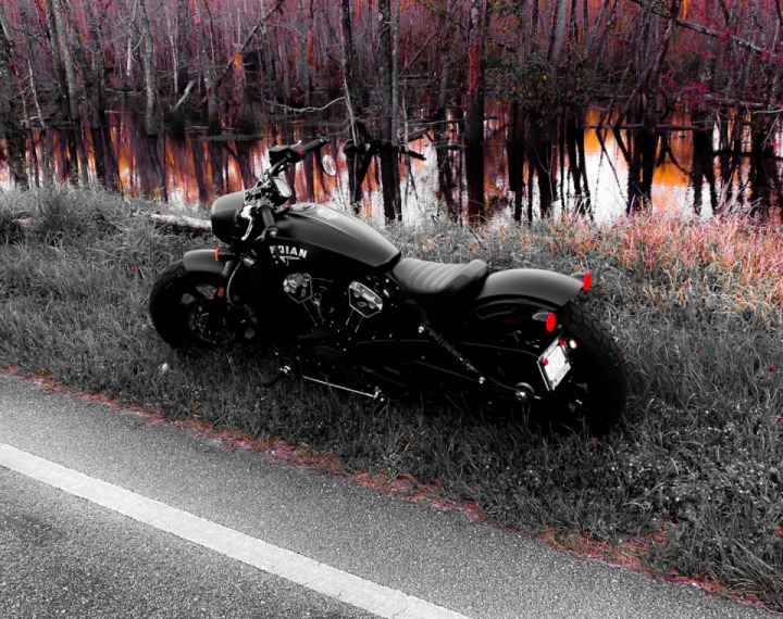 Bayou riding