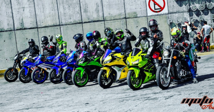 Rcr family