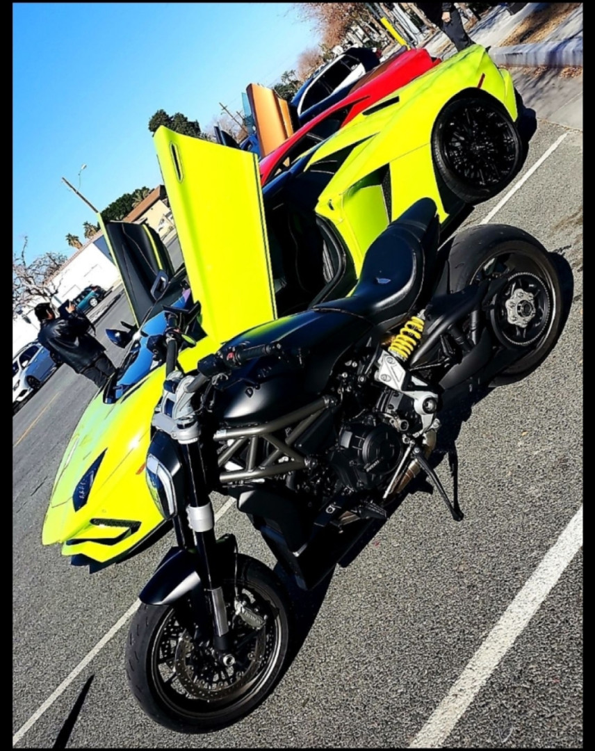 Italian Stallions