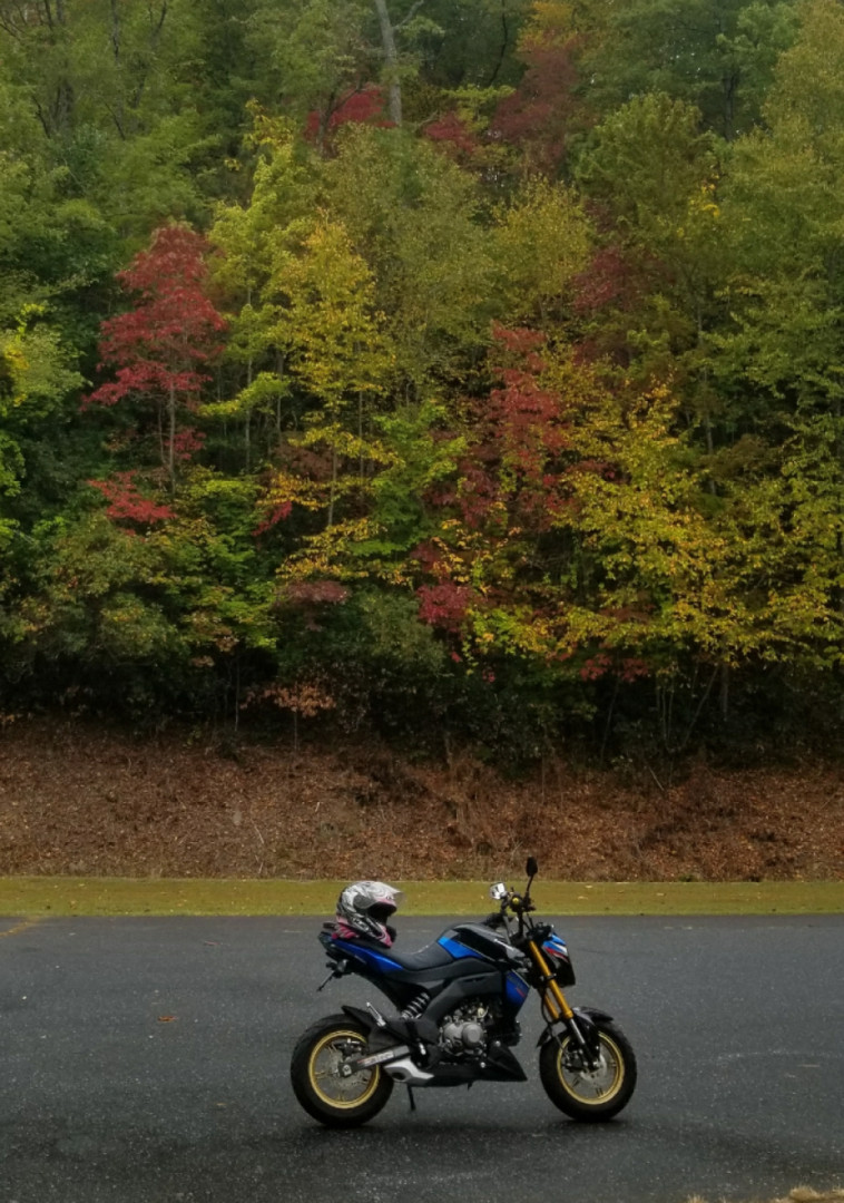 Had a Blast on this Z125 Pro @ Hwy 28 North Carolina ?