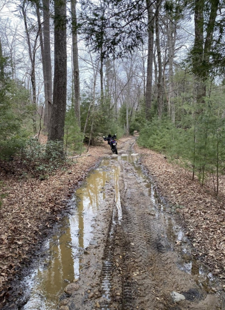Early Spring fling