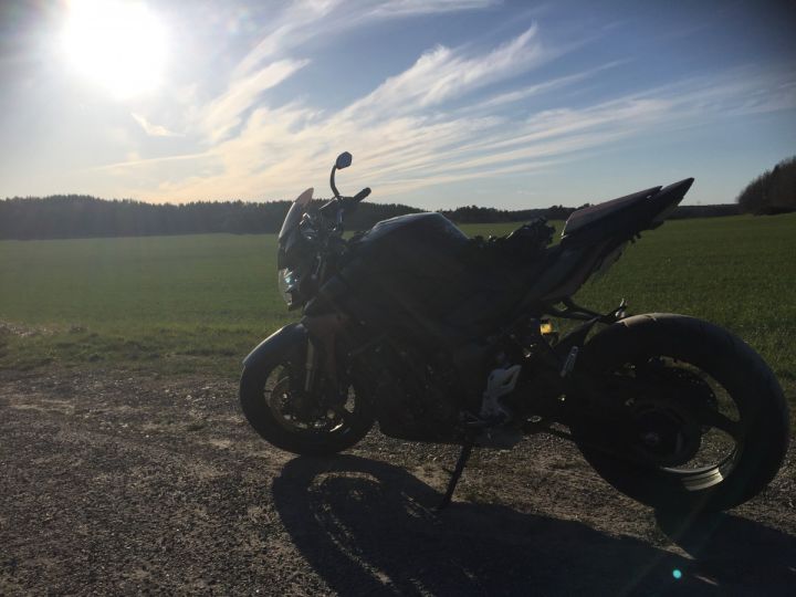 Spring in Sweden!
