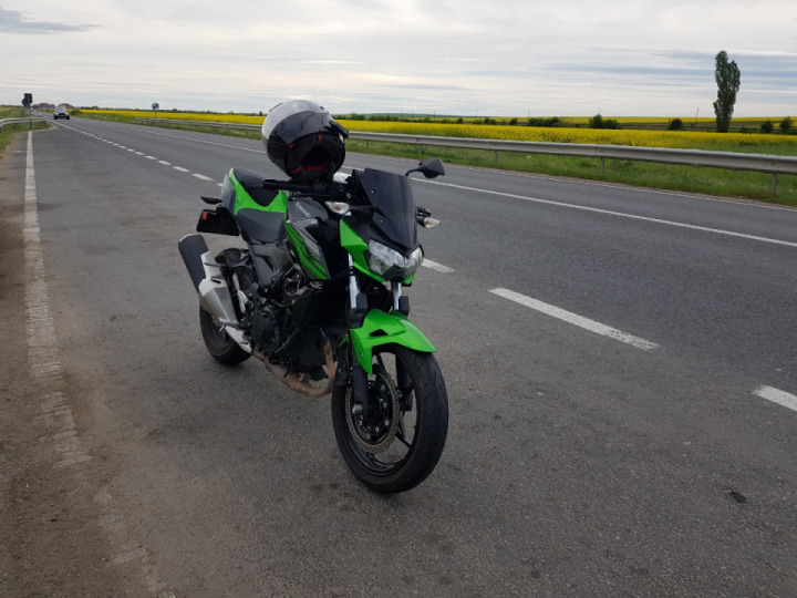 Morning ride!