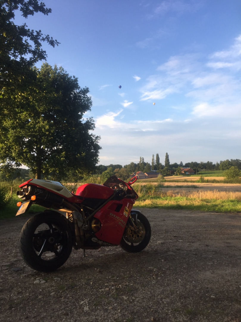 Summer vibes