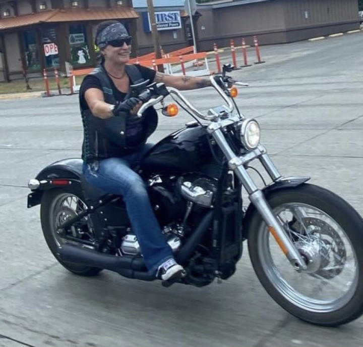 Just another Softail