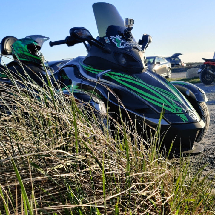 Spyder in the grass