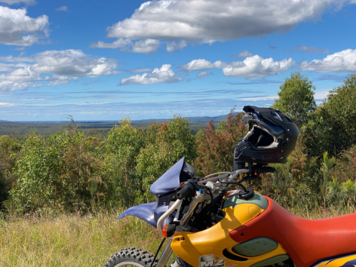 Therapy
