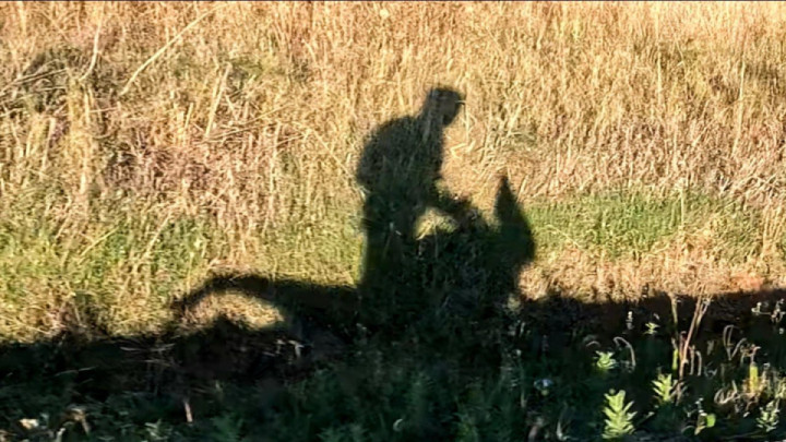 I was going so calmly when I saw myself, in shadow