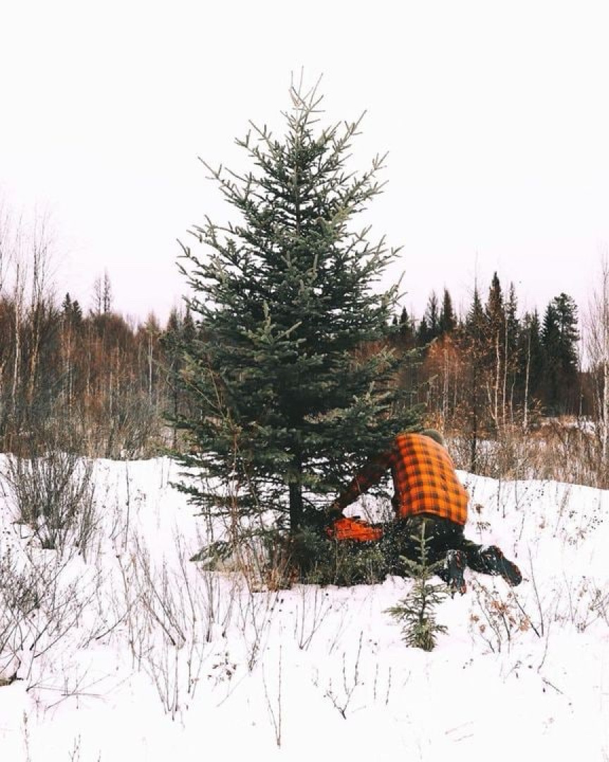What’s your favorite holiday tradition?