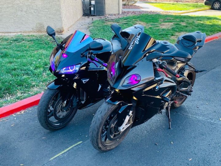 The two beasts