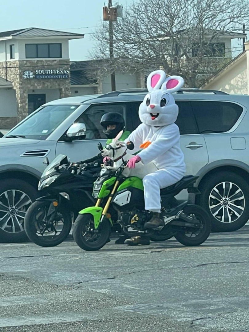 Happy Easter