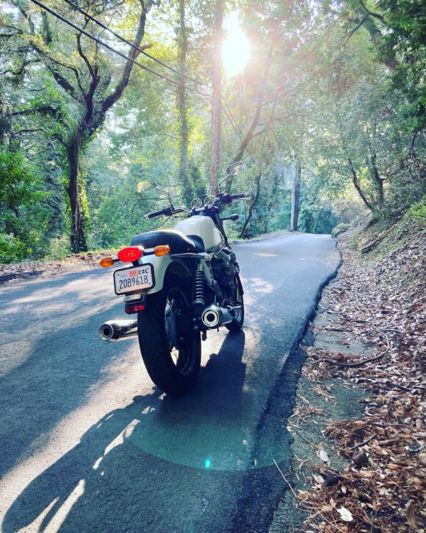 Chasing the sun…