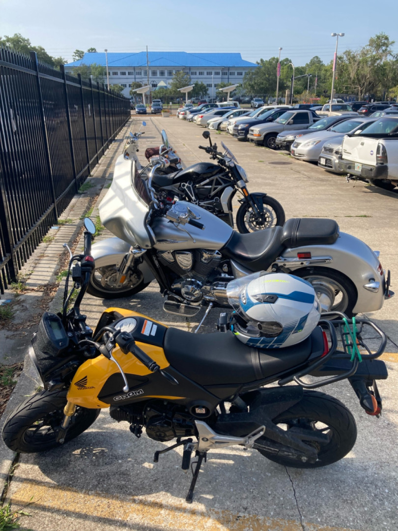 Bikes in the wild ?