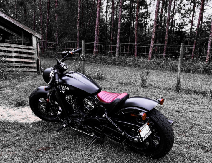 Black beauty
