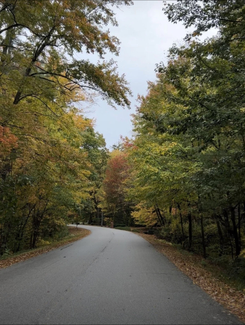 Autumn drive