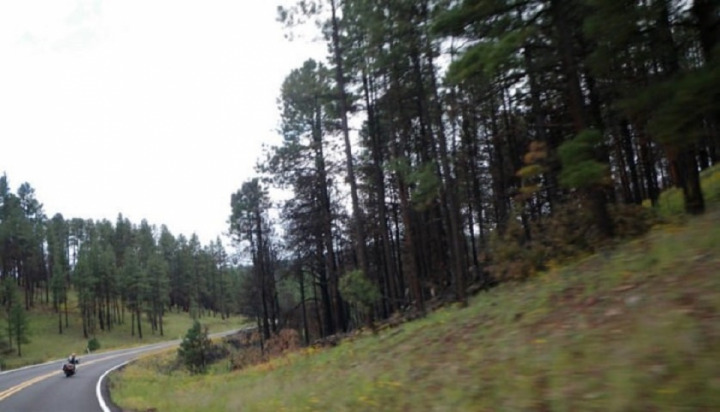 The Coronado Trail scenic byway, has over 460 curves, AZ
