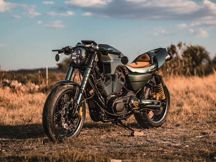 Harley Sportster XR1200 Apex Predator by Querétaro