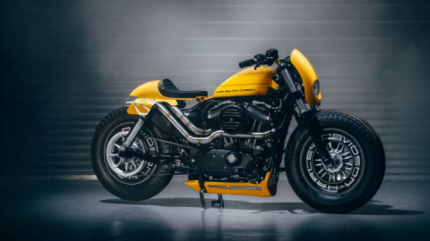 Harley Davidson Sportster 48