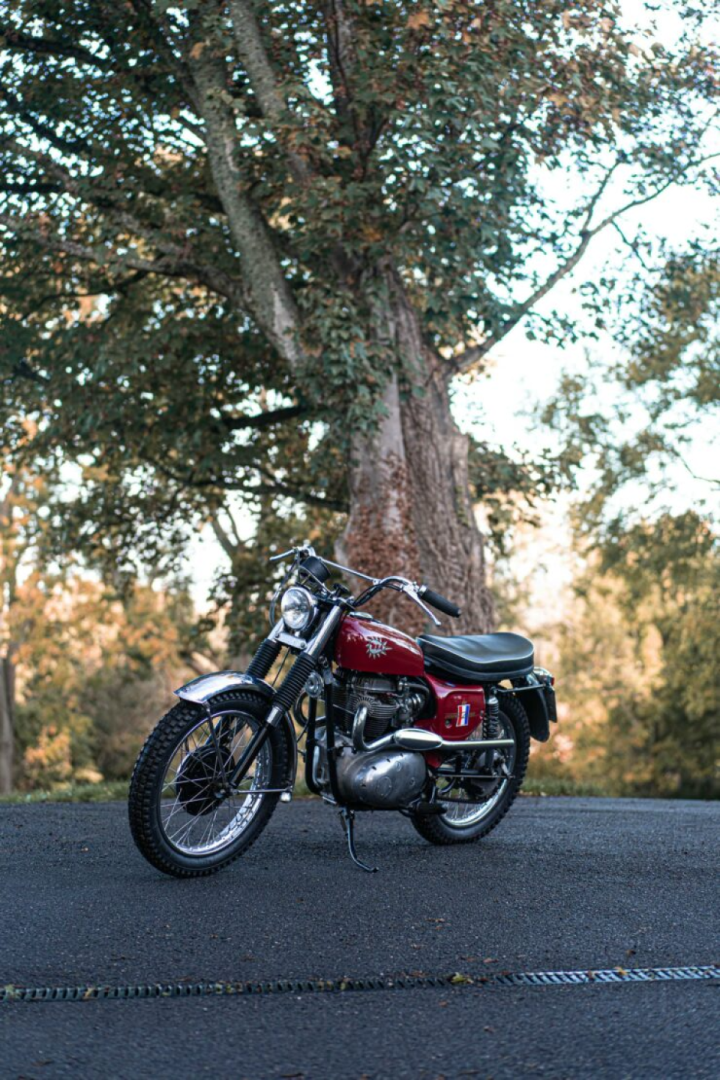 BSA Hornet Motorcycle 9