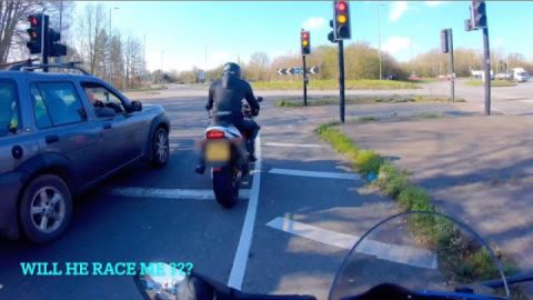 Fireblade VS Gixxer 1000