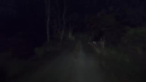 Night shifting @ Bridge & Mellon Rd