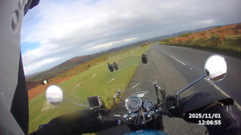 After the 22-minute cow queue, I came across a variety of moorland residents ♂️ ..