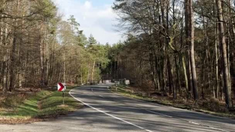 What sounds better than a 600cc 4-cylinder in the spring forrest?