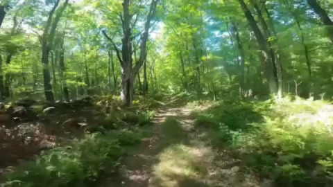 Taking a solo shortcut during a small group ride