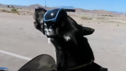 When your song comes on on the road