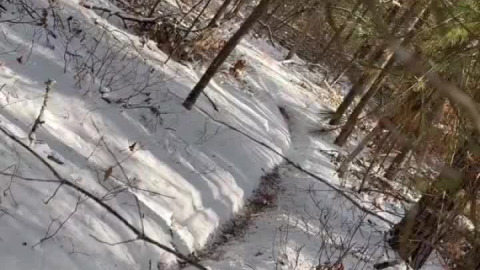 No shortage of snow out there today