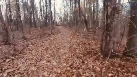 To boulderly go