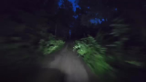 Night Patrol