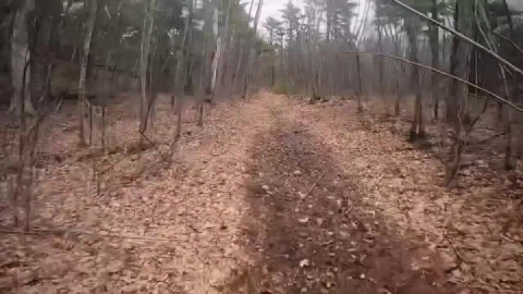 Uphill mostly
