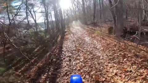 Sessions Meadow to Bears Den