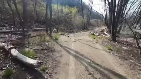 Riverside Romp and Roll