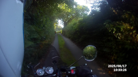 Ooh lovely, my favourite, a goat track!