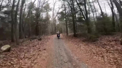 Bullwinkle and Rocky ride again
