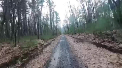 In the mood for mud