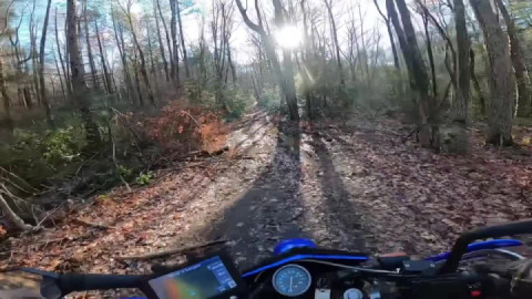 Into the light Nipmuck