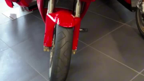 Pick your Favourite Ducati?