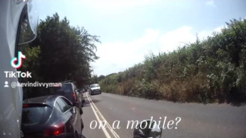 What was the driver of this grey van doing?