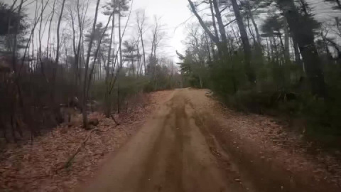 Far out and about