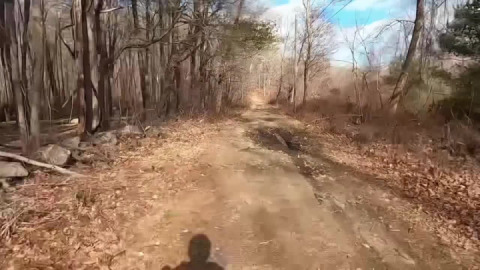 The end of Winter on Summer Lane