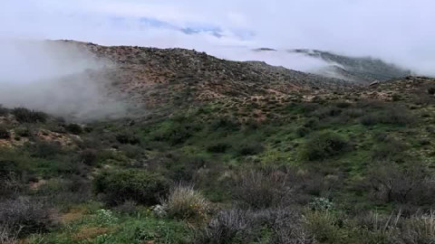 Prime single track out there today! Riding through the clouds on some hero dirt.