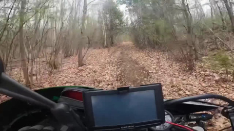 Let there be mud
