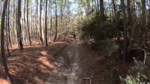 Sandstone trails Louisiana